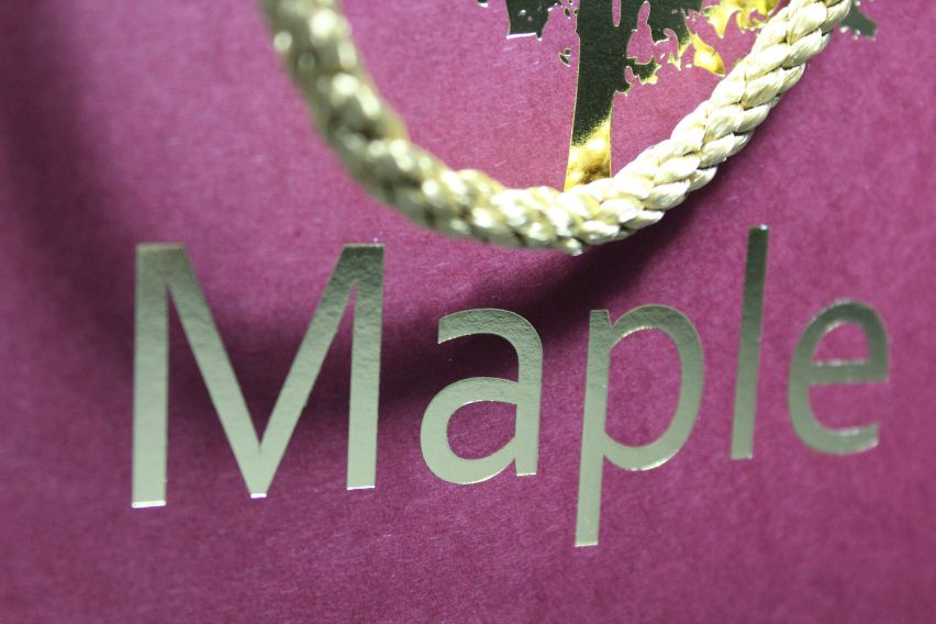 Presentation Bags - Printed Luxury Rope Handle (Stock Sizes)